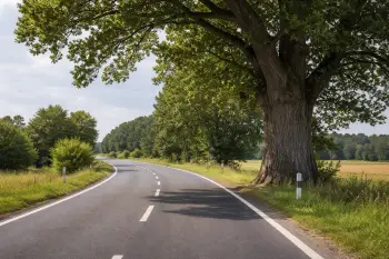 omicidio albero avvocato penalista incidenti