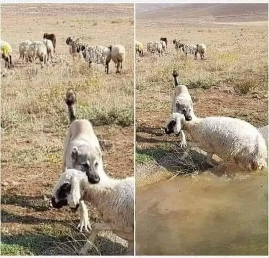 storia raccontata male